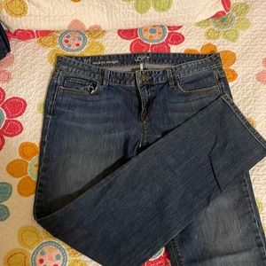 Ann Taylor Loft jeans size 10